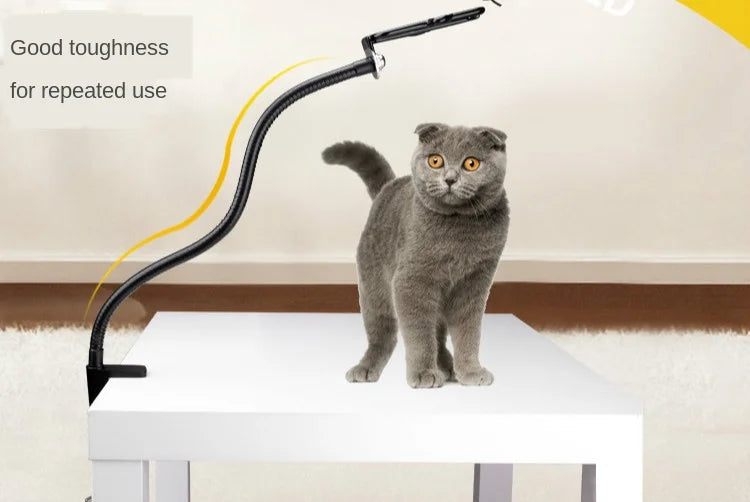 Pet Hair Dryer Stand Fixed Bracket Dog Cat Grooming Support Frame Braces Shelf Accessories Care