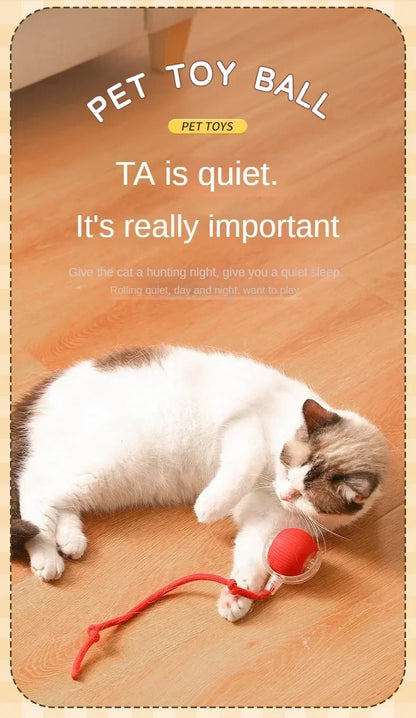 Interactive Rolling Cat Ball Dog Toy Rolling Ball for Indoor 360° Automatic Rolling Pet Ball Self RollingBall Pet Supplies