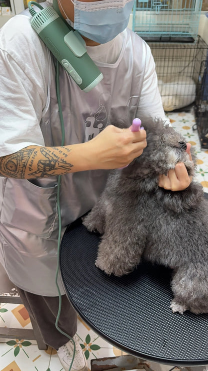Pet Hair Dryer High Power Silent Hair Blowing Artifact Large and Small Dog Water Blower Special for Dogs