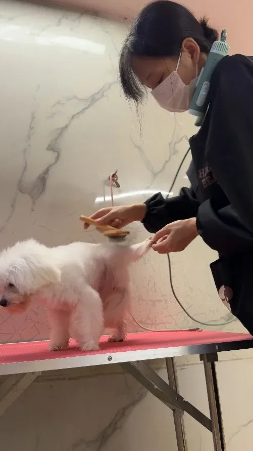 Pet Hair Dryer High Power Silent Hair Blowing Artifact Large and Small Dog Water Blower Special for Dogs