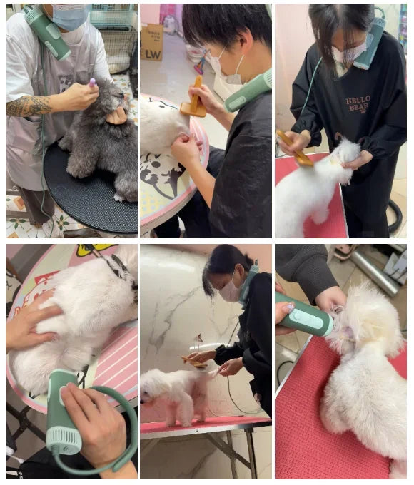Pet Hair Dryer High Power Silent Hair Blowing Artifact Large and Small Dog Water Blower Special for Dogs