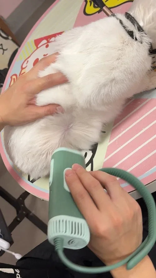 Pet Hair Dryer High Power Silent Hair Blowing Artifact Large and Small Dog Water Blower Special for Dogs