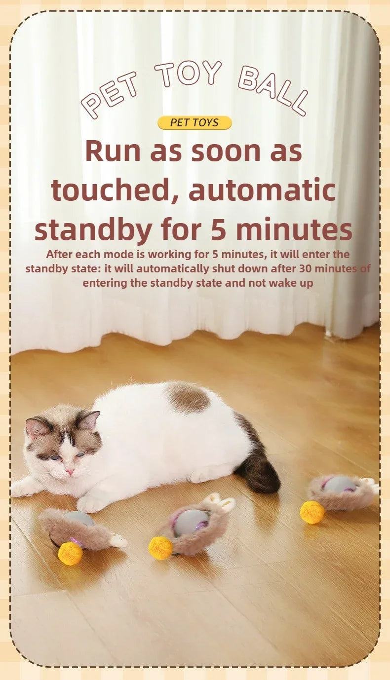 Interactive Rolling Cat Ball Dog Toy Rolling Ball for Indoor 360° Automatic Rolling Pet Ball Self RollingBall Pet Supplies