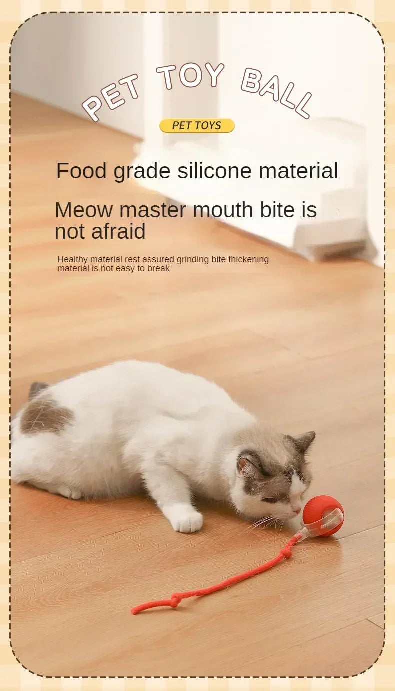 Interactive Rolling Cat Ball Dog Toy Rolling Ball for Indoor 360° Automatic Rolling Pet Ball Self RollingBall Pet Supplies