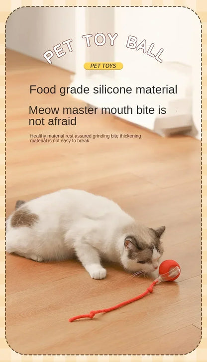 Interactive Rolling Cat Ball Dog Toy Rolling Ball for Indoor 360° Automatic Rolling Pet Ball Self RollingBall Pet Supplies