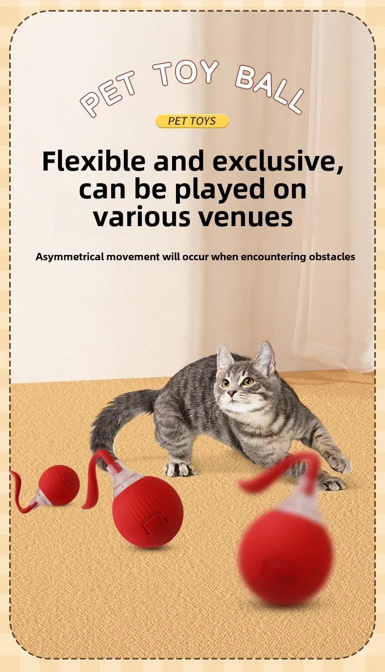 Interactive Rolling Cat Ball Dog Toy Rolling Ball for Indoor 360° Automatic Rolling Pet Ball Self RollingBall Pet Supplies