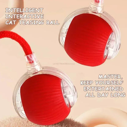 Interactive Rolling Cat Ball Dog Toy Rolling Ball for Indoor 360° Automatic Rolling Pet Ball Self RollingBall Pet Supplies