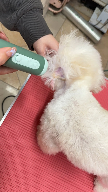 Pet Hair Dryer High Power Silent Hair Blowing Artifact Large and Small Dog Water Blower Special for Dogs
