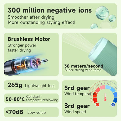 Pet Hair Dryer High Power Silent Hair Blowing Artifact Large and Small Dog Water Blower Special for Dogs
