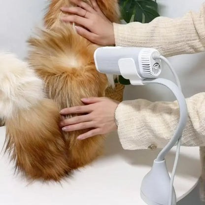 Pet Hair Dryer High Power Silent Hair Blowing Artifact Large and Small Dog Water Blower Special for Dogs