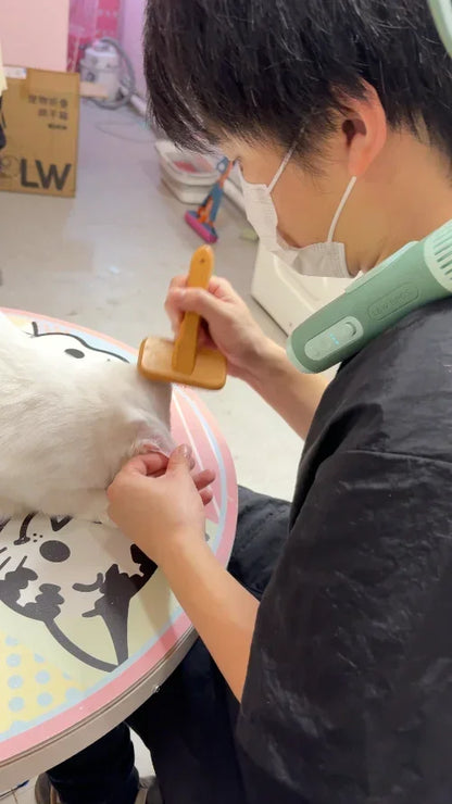 Pet Hair Dryer High Power Silent Hair Blowing Artifact Large and Small Dog Water Blower Special for Dogs